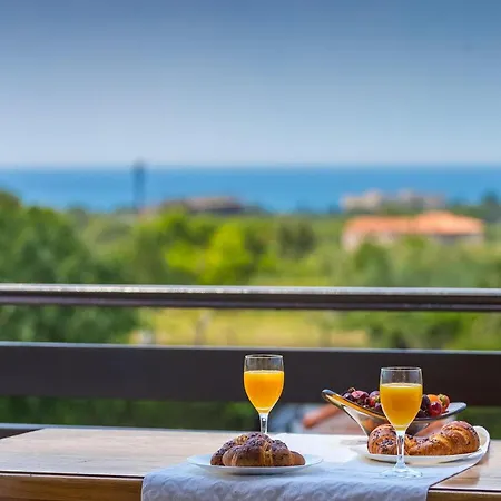 David Vikendica Porec